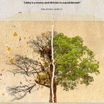 Hadiths and verses of unity