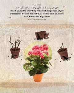 Hadiths and verses of unity